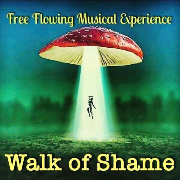 Cover art for Walk of Shame