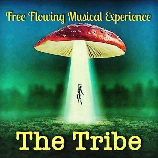 Cover art for The Tribe