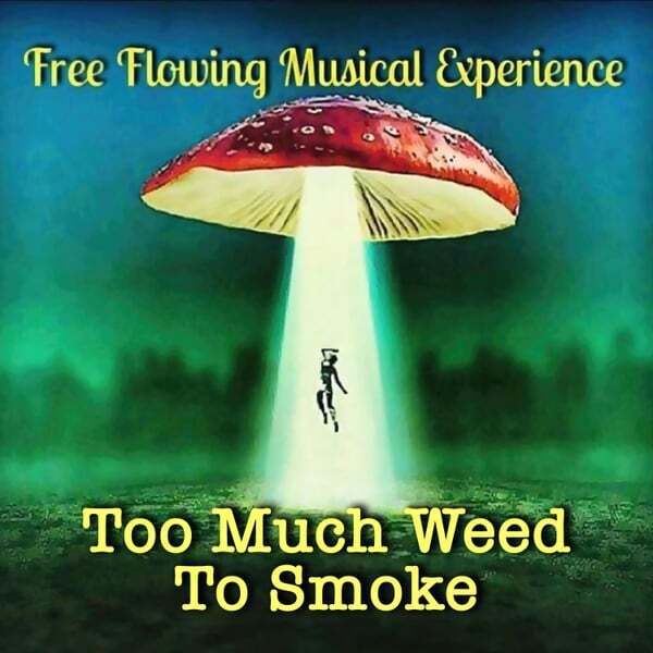 Cover art for Too Much Weed To Smoke